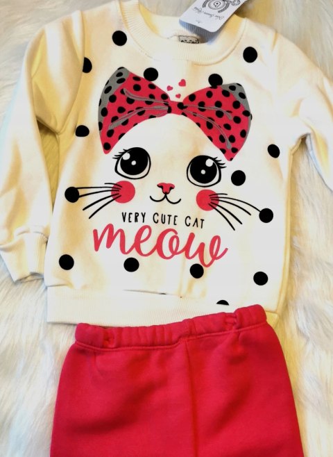 Zestaw dla dziewczynki dres roczek 80 nadruk kotek